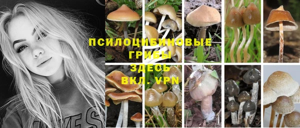 марки lsd Арсеньев