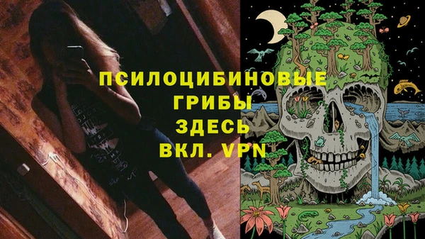 кокс Баксан