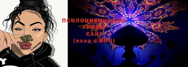 прущий лед Аркадак