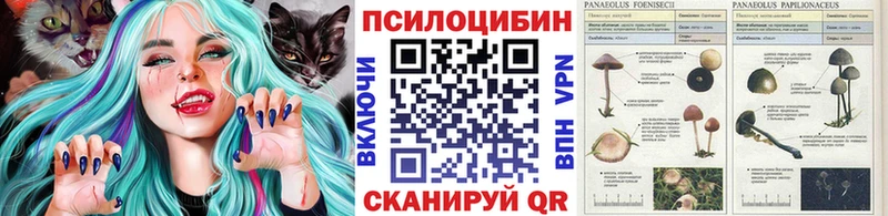 наркота  ОМГ ОМГ онион  Псилоцибиновые грибы Magic Shrooms  Солнечногорск 